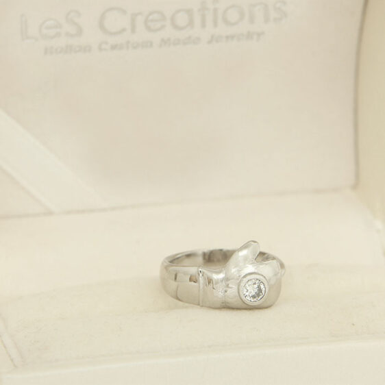 Boxe Ring - Image 4