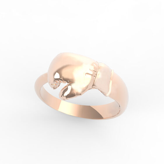 Boxe Ring - Image 2
