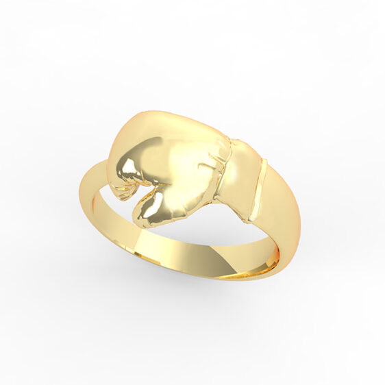 Boxe Ring - Image 3
