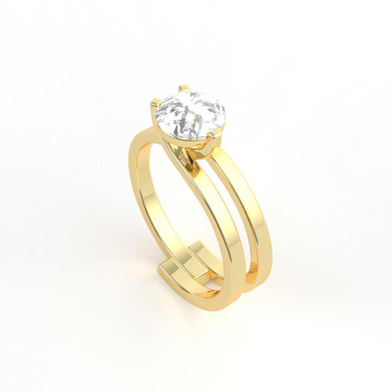 Steven Ring - immagine 4