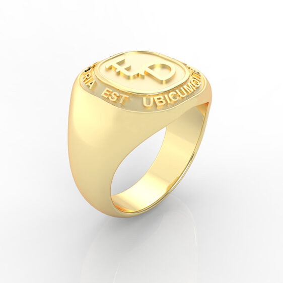 Champions Ring - Image 2