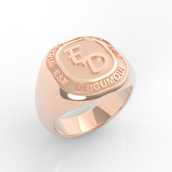 Champions Ring - Image 5