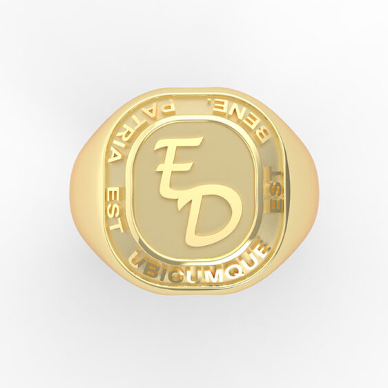 Champions Ring - Image 4