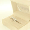 James  Ring - immagine 8