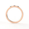 James  Ring - immagine 5