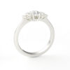 Andrew Ring - immagine 2