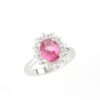 Pam Ring - immagine 2