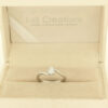 Eric Ring - immagine 6
